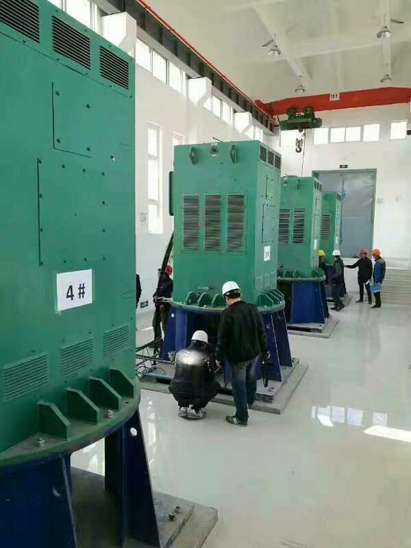 镇江某污水处理厂使用我厂的立式高压电机安装现场安装尺寸